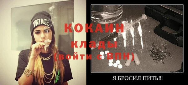 гидропоника Бородино