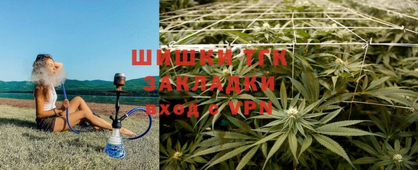 гидропоника Бородино