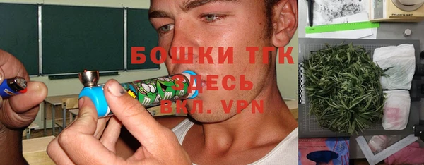 PSILOCYBIN Бугульма