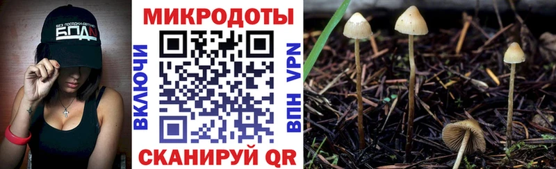 Купить закладки  Бронницы  Псилоцибиновые грибы ЛСД 